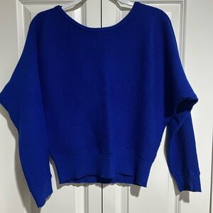 Express royal blue sweater